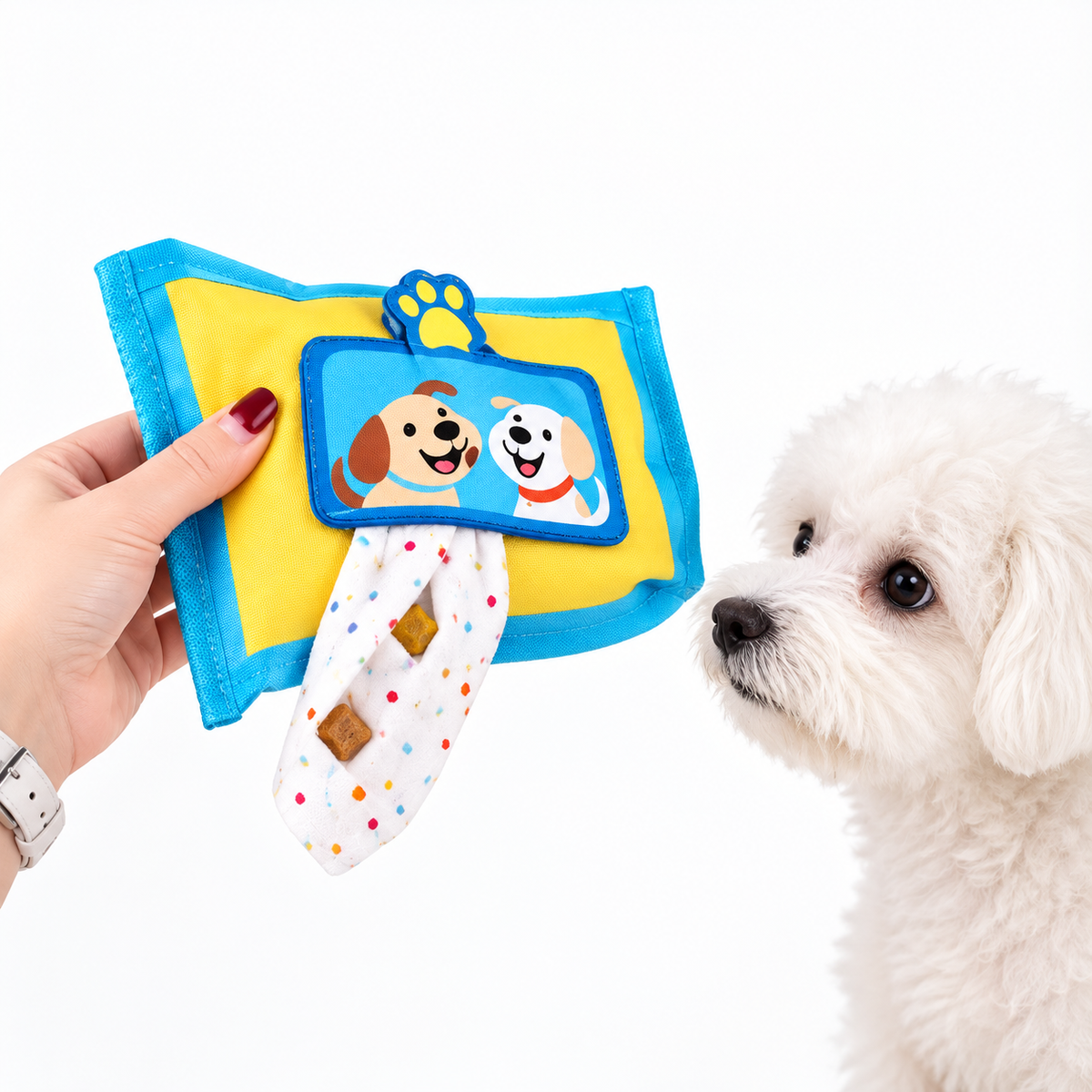 Snuffle Tissue Box Dog Toy – Treat Hiding Puzzle Toy with Squeakers