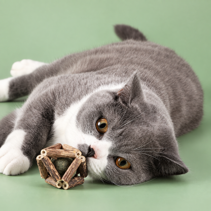 Natural Silvervine Cat Chew Ball with Catnip – Interactive Dental Toy for Cats