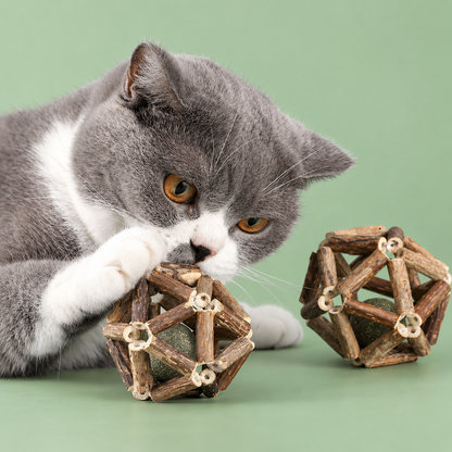 Natural Silvervine Cat Chew Ball with Catnip – Interactive Dental Toy for Cats